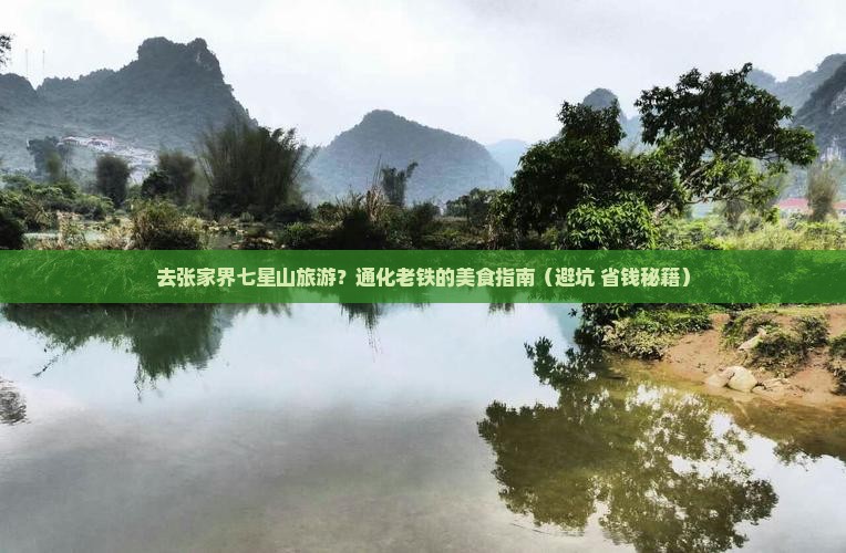 通化去张家界七星山旅游小吃