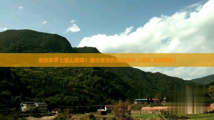 通化去张家界七星山旅游小吃