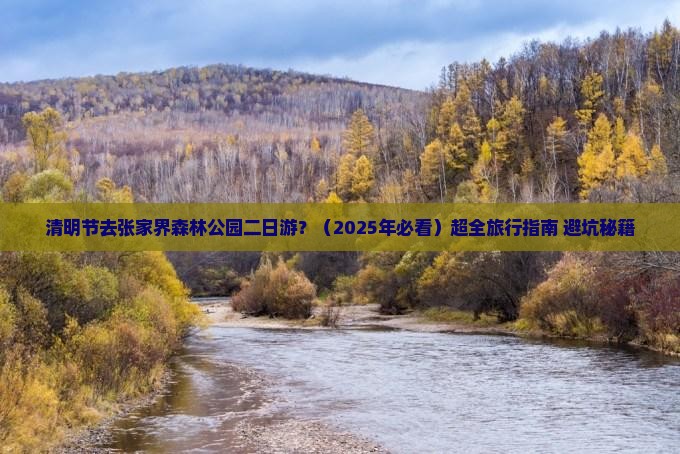 清明节去张家界森林公园二日游