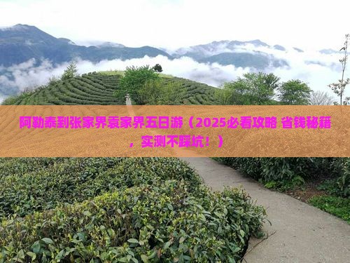 阿勒泰到张家界袁家界五日游