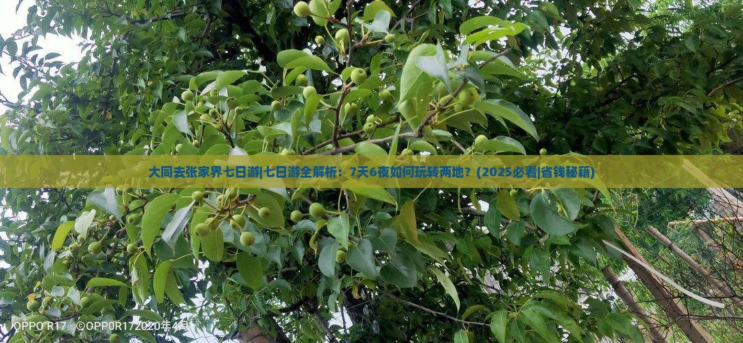 大同去张家界七日游