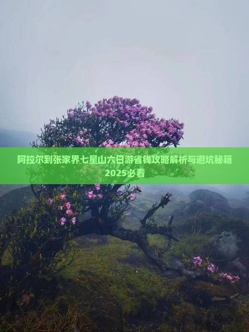 阿拉尔到张家界七星山六日游