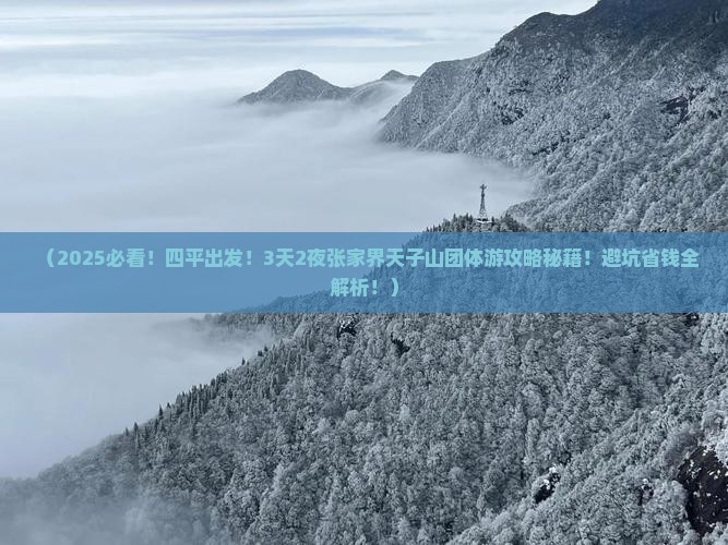 四平去张家界天子山团体旅游