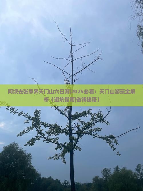 阿坝去张家界天门山六日游