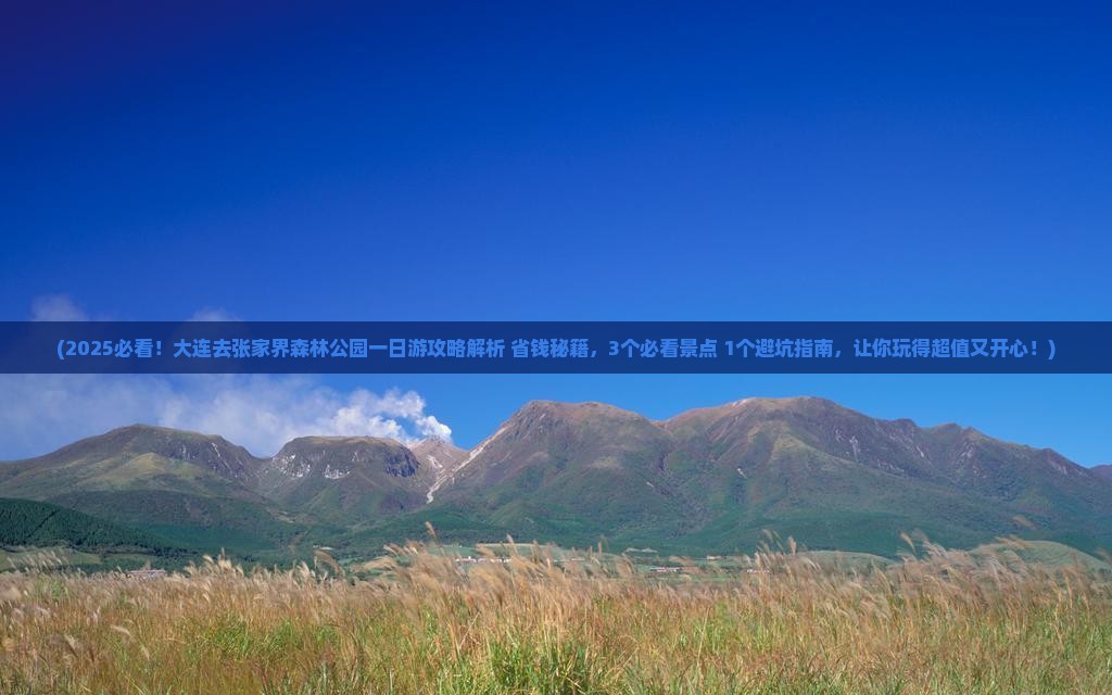 大连去张家界森林公园一日