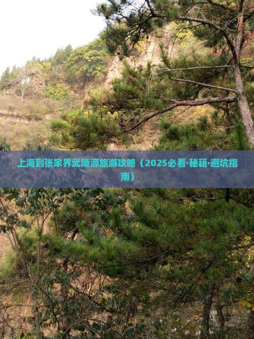 上海到张家界武陵源攻略