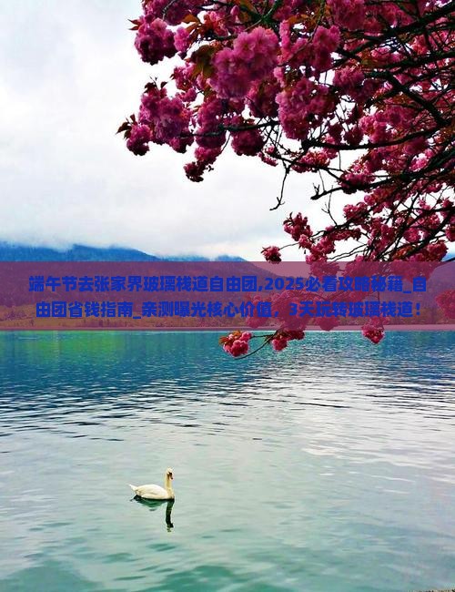 端午节去张家界玻璃栈道自由团