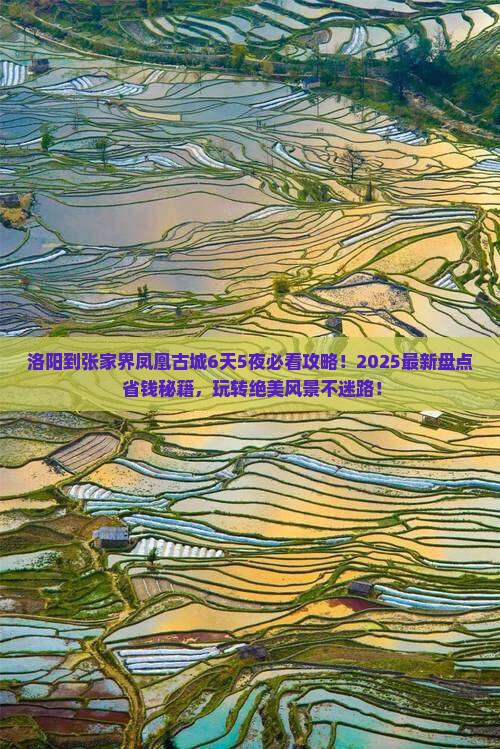 洛阳到张家界凤凰古城哪里玩