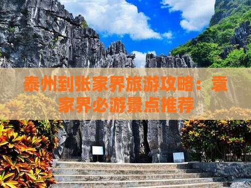 泰州到张家界袁家界哪里玩