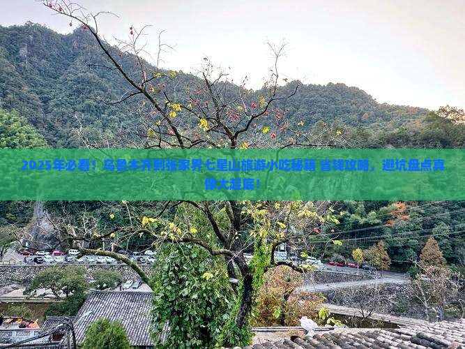 乌鲁木齐到张家界七星山旅游小吃