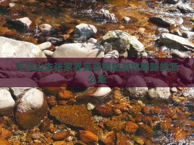 平顶山去张家界芙蓉镇旅游