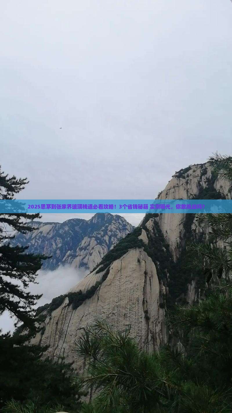 思茅到张家界玻璃栈道攻略
