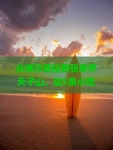 博尔塔拉到张家界天子山旅游小吃