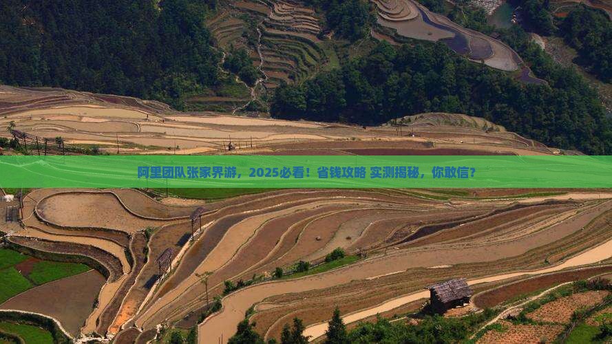 阿里去张家界团体旅游