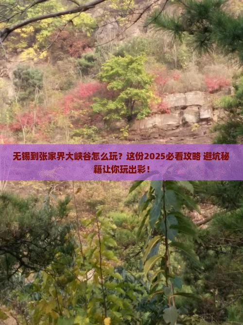 无锡到张家界大峡谷哪里玩