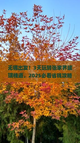 无锡到张家界玻璃栈道三日游