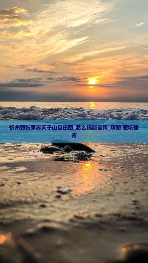 忻州到张家界天子山自由团