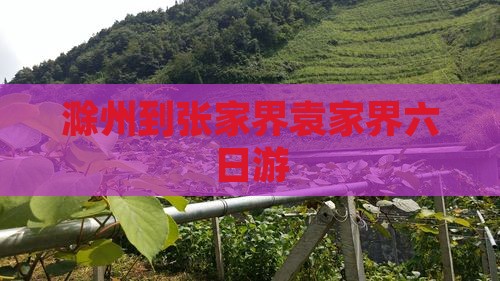 滁州到张家界袁家界六日游
