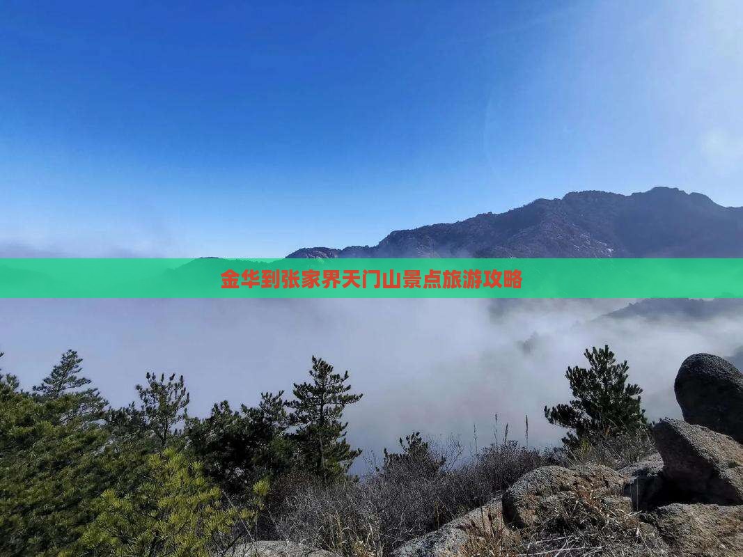 金华到张家界天门山景点