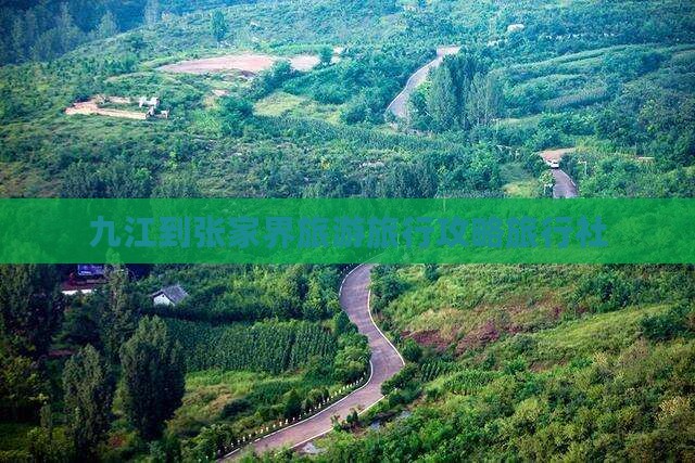 九江到张家界森林公园旅行社
