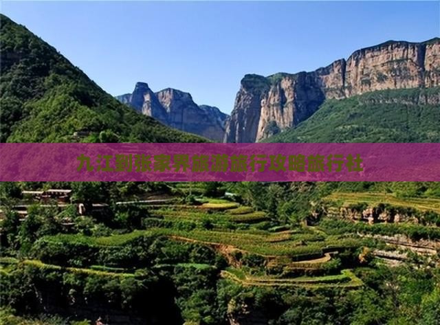 九江到张家界森林公园旅行社