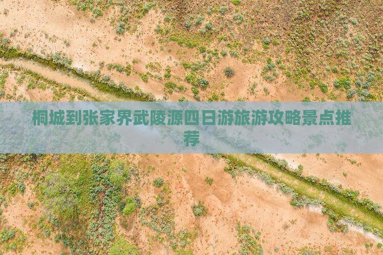 桐城到张家界武陵源四日游