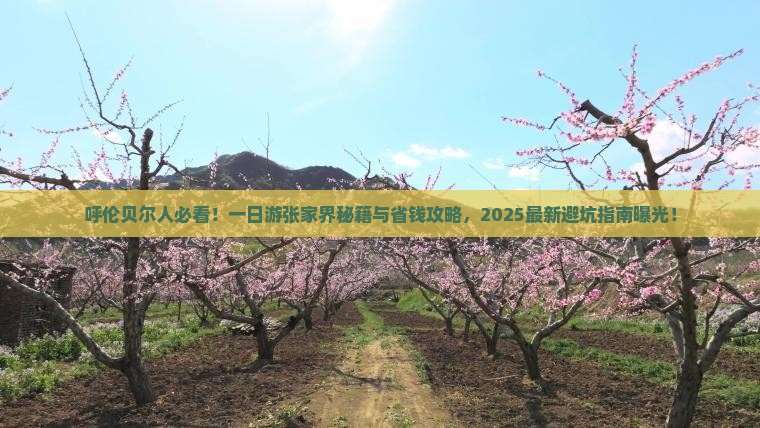 呼伦贝尔去张家界一日