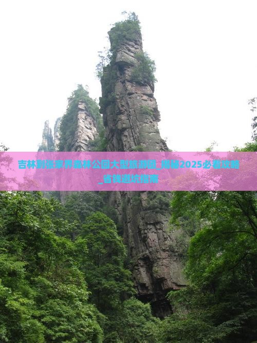 吉林到张家界森林公园大型旅游团