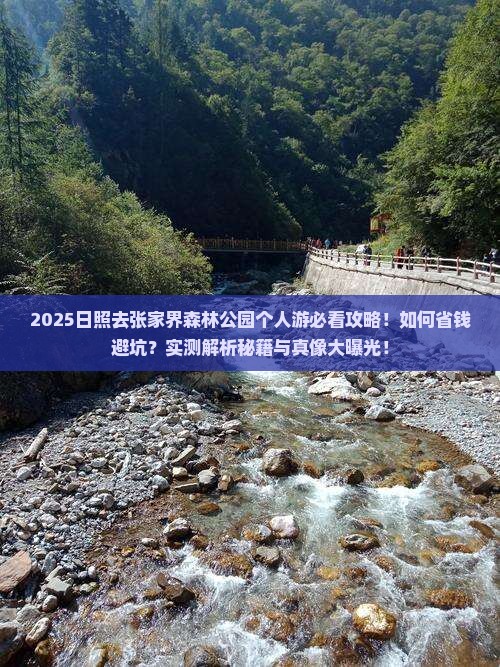 日照去张家界森林公园个人游
