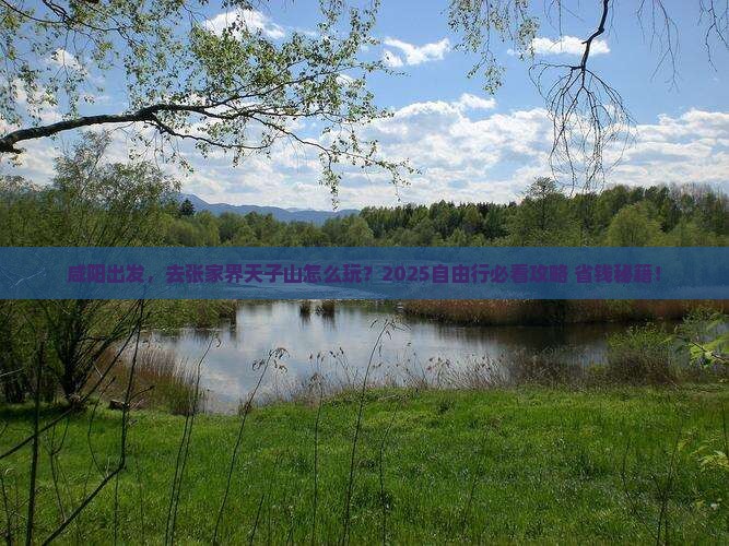咸阳到张家界天子山自由行