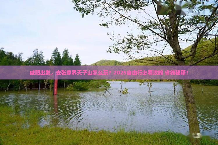 咸阳到张家界天子山自由行