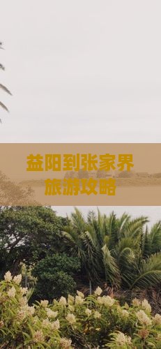 益阳到张家界森林公园门票