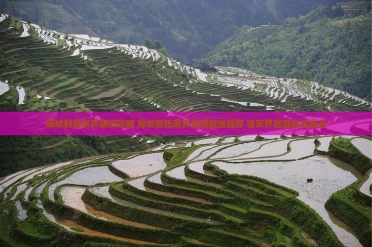 廊坊到张家界旅游