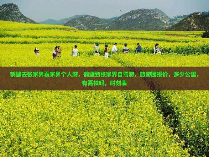 鹤壁去张家界袁家界个人游
