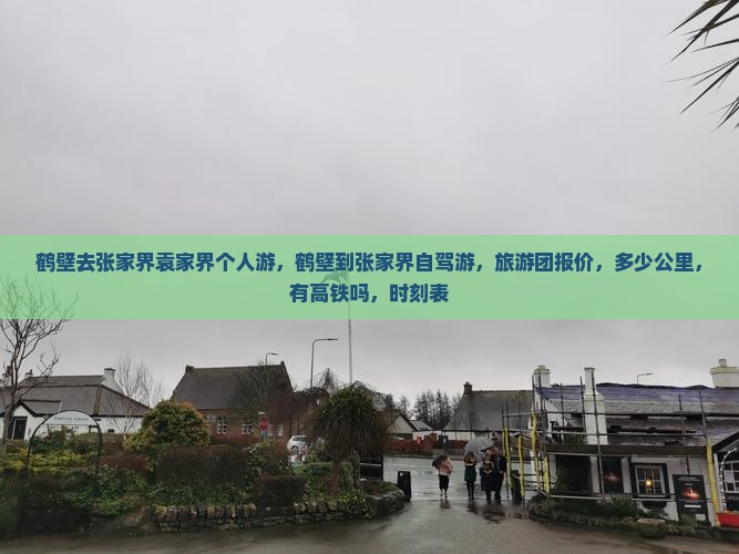鹤壁去张家界袁家界个人游