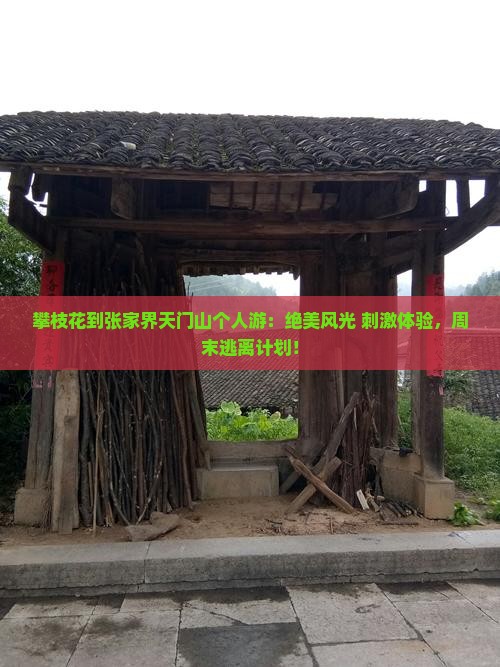 攀枝花到张家界天门山个人游