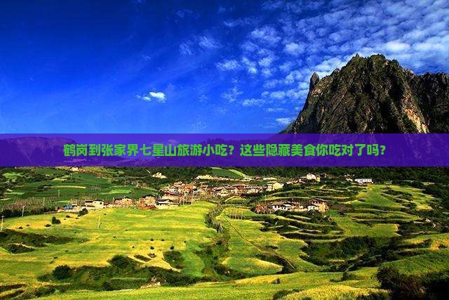 鹤岗到张家界七星山旅游小吃