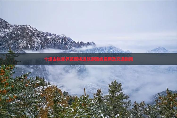 十堰去张家界玻璃栈道旅游