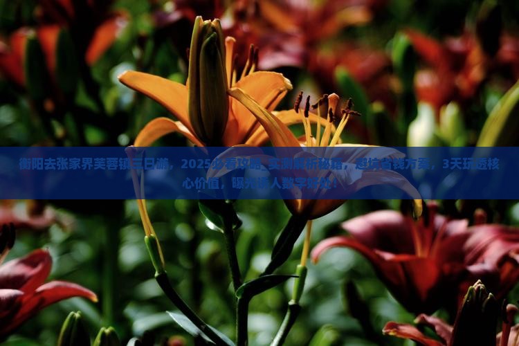 衡阳去张家界芙蓉镇三日游