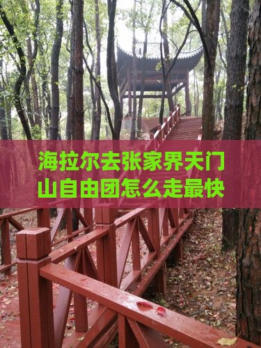 海拉尔去张家界天门山自由团