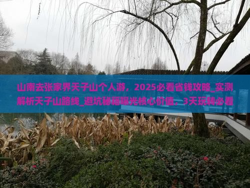 山南去张家界天子山个人游