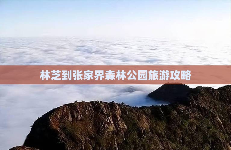 林芝到张家界森林公园旅游