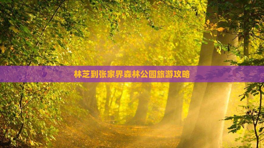林芝到张家界森林公园旅游