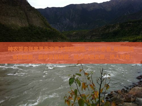 神农架去张家界袁家界大型旅游团