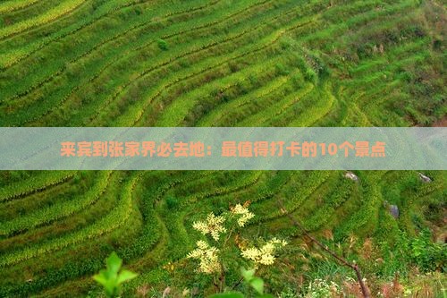 来宾到张家界必去地