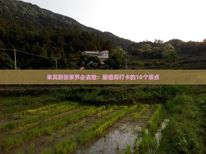 来宾到张家界必去地