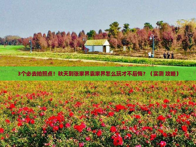 秋天到张家界袁家界哪里玩