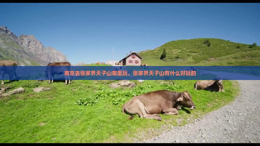 南京去张家界天子山哪里玩，张家界天子山有什么好玩的