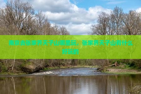 南京去张家界天子山哪里玩，张家界天子山有什么好玩的
