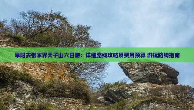 阜阳去张家界天子山六日游：详细路线攻略及费用预算+游玩路线指南